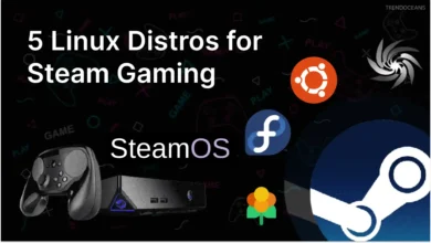 5 distribuciones de Linux para Steam Gaming