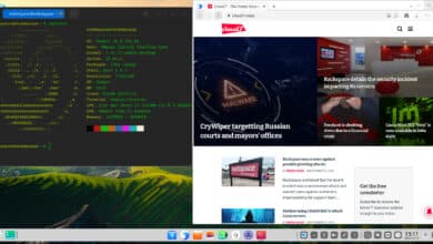 deepin 20.8 viene con nueva aplicación 1