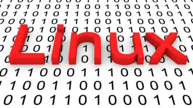 El potencial de daño del error 'crítico' de Linux Sudo puede ser realmente pequeño