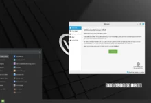 Linux Mint 21.1 "Vera" ahora disponible para descargar