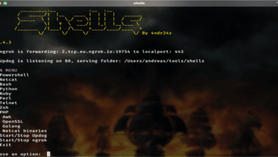 Pequeño script para generar Revshell 2022