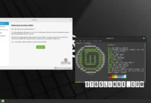 Primer vistazo a Linux Mint 21.1 Beta con entorno de escritorio Cinnamon 5.6