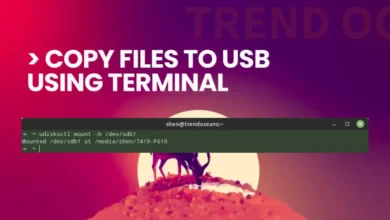 Cómo copiar archivos a una memoria USB usando Terminal [TTY]