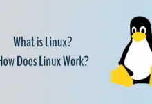 ¿Introducción a Linux? ¿Y cómo funciona Linux?