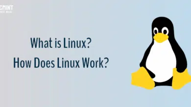 ¿Introducción a Linux? ¿Y cómo funciona Linux?