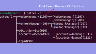 cómo encontrar el proceso padre [Child Processes] PPID en Linux