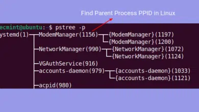 cómo encontrar el proceso padre [Child Processes] PPID en Linux