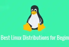 Las mejores distribuciones de Linux para principiantes en 2023