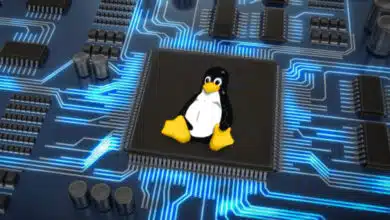 Linux 6.1 is a Long-Term Support (LTS) Kernel now