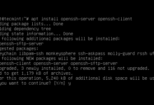 Cómo instalar y configurar el servidor OpenSSH en Linux