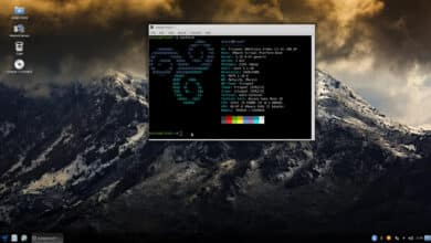 Lanzamiento de Trisquel GNU/Linux 11.0, descárguelo ahora