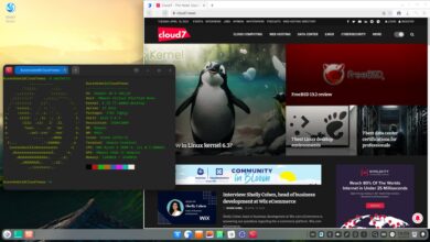 Deepin 20.9 ya está disponible