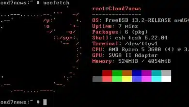 FreeBSD 13.2 ya está disponible para descargar