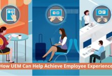 Libere el potencial de sus empleados: cómo puede ayudar la UEM