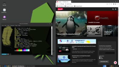Revisión de Linux Lite 6.4 - Cloud7