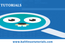 Un kit de herramientas OSINT multipropósito con una interfaz web limpia
