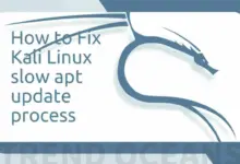 Cómo arreglar la velocidad de actualización lenta de Kali Linux APT