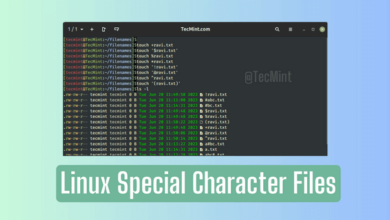 Cómo crear archivos con caracteres especiales en Linux