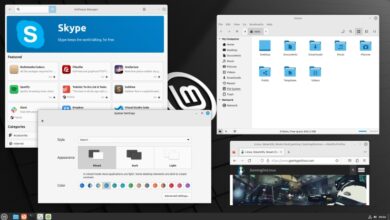 Linux Mint 21.2 obtiene versión beta