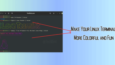 Haga que su terminal de Linux sea más colorida y divertida