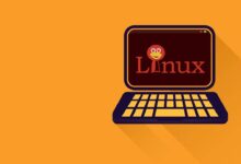 Cómo verificar todos los kernels de Linux instalados