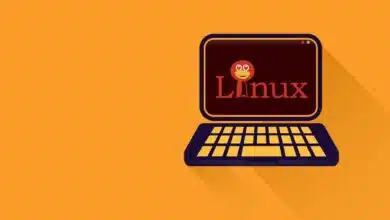 Cómo verificar todos los kernels de Linux instalados