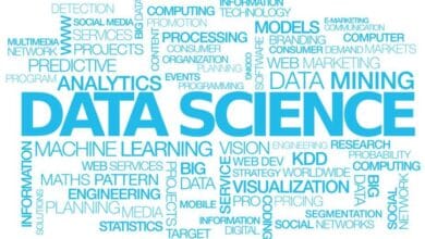 Dominando el futuro: Habilidades clave de ciencia de datos para una ventaja competitiva
