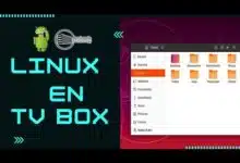 Instalar Linux (ARMBIAN) en TV Box