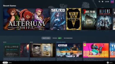 Steam Beta mejora el soporte de Openbox y soluciona los problemas de enfoque de AMD/Intel.
