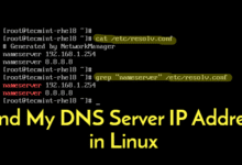 Cómo encontrar la dirección IP de mi servidor DNS en Linux