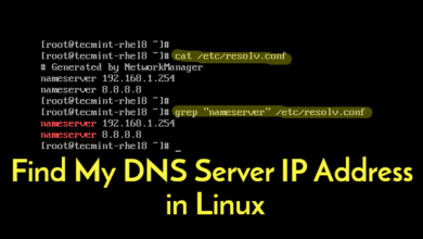Cómo encontrar la dirección IP de mi servidor DNS en Linux