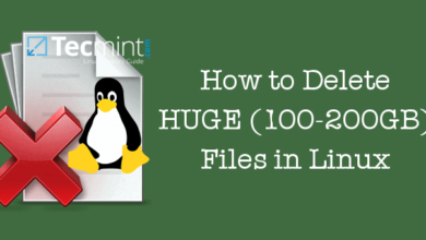 Cómo eliminar archivos enormes (100-200 GB) en Linux