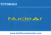 Una utilidad para el escaneo extenso de Internet con Nuclei