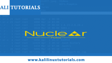 Una utilidad para el escaneo extenso de Internet con Nuclei
