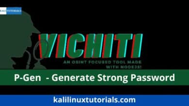Vichiti - Herramienta enfocada OSINT