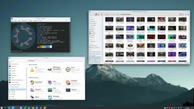 KDE Plasma 6 ahora se abre con doble clic por defecto y otras mejoras