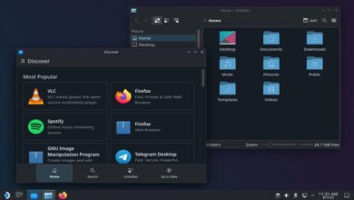Bazzite es un nuevo Linux basado en Fedora para Steam Deck y PC para juegos.
