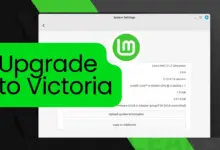 Cómo actualizar de Linux Mint Vanessa a Victoria 21.2 Victoria