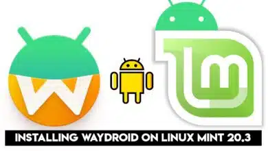 Cómo instalar Waydroid en Linux Mint 20.3 | Instalar Waydroid en un contenedor de Linux - Android
