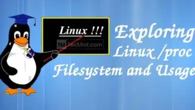 Una guía para principiantes sobre el sistema de archivos /proc en Linux