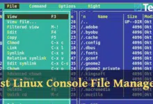 9 consolas Linux imprescindibles [Terminal] administrador de archivos