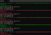 Actualizaciones y alertas de Bitcoin en vivo