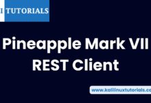 Cliente REST de Pineapple Mark VII