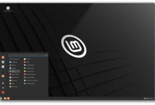 LMDE 6 “Faye” – Lanzamiento BETA – Blog de Linux Mint