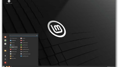 LMDE 6 “Faye” – Lanzamiento BETA – Blog de Linux Mint