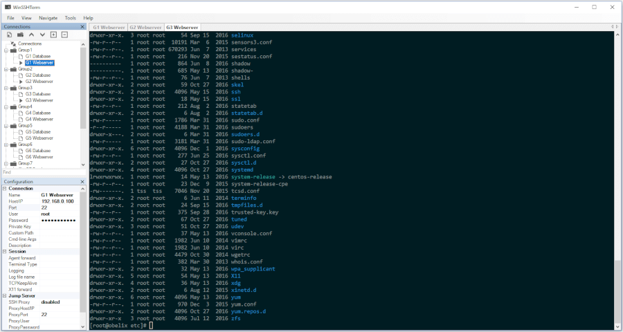 WinSSHTerm - Cliente SSH