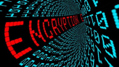 Android e iOS en lados opuestos de la división criptográfica