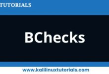 BChecks: Liberando el poder de Burp Suite Professional: una guía completa
