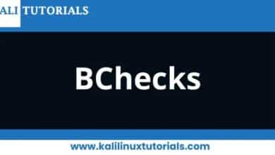 BChecks: Liberando el poder de Burp Suite Professional: una guía completa