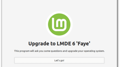 Cómo actualizar a LMDE 6 – Blog de Linux Mint